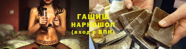 индика Балахна